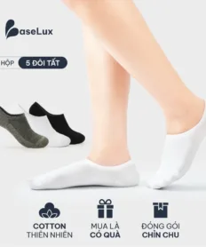 Tất lười nam BaseLux tất cotton thoáng mát, tất lười chống hôi chân, tất lười nữ basic, vớ lười kháng khuẩn khử mùi
