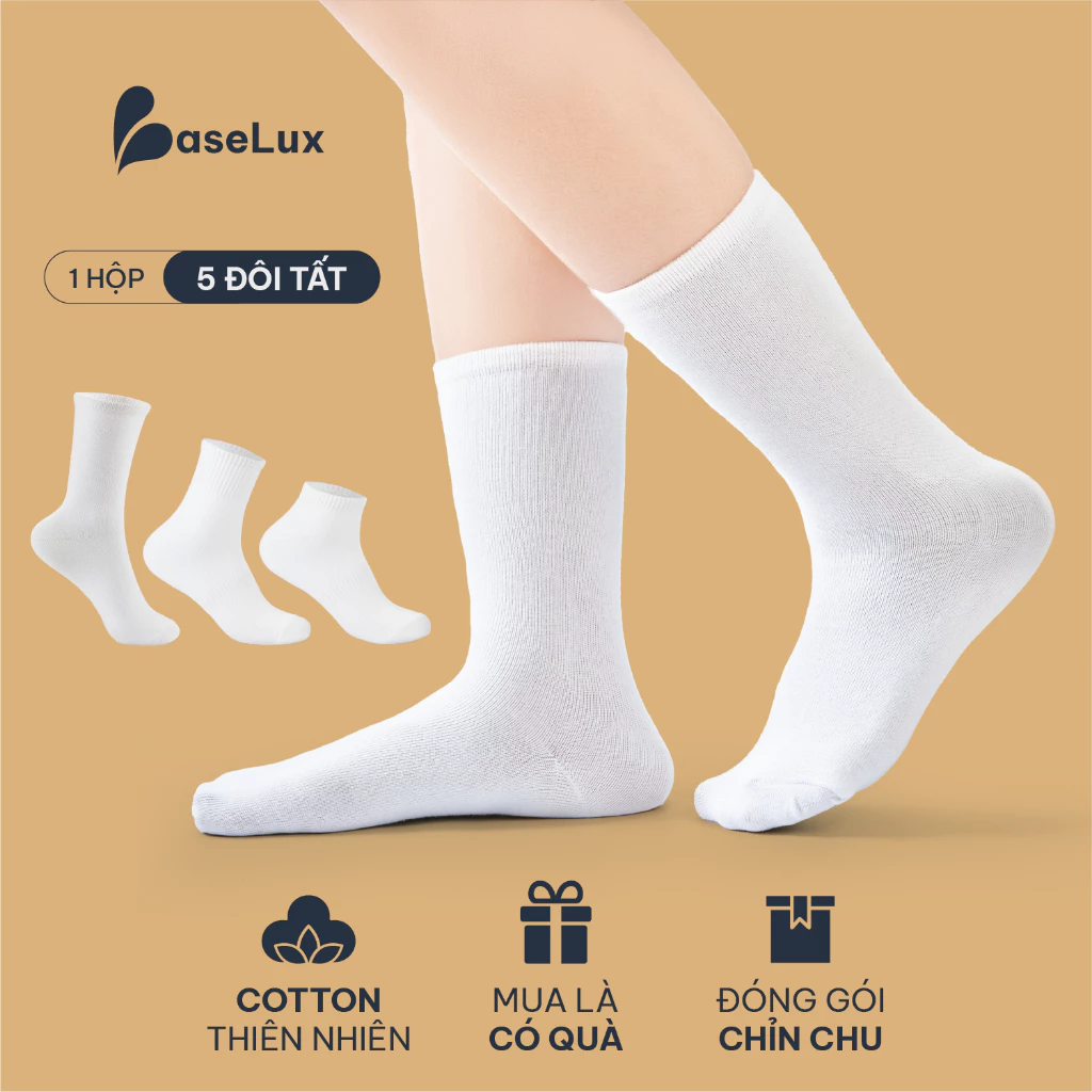 Tất cao cổ nữ BaseLux Tất cotton mềm mại Vớ chân nữ kháng khuẩn khử mùi Tất trắng nữ co giãn 4 chiều vớ nữ basic vintage